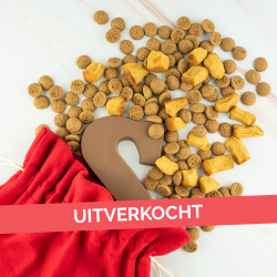 Sinterklaasszak xxl