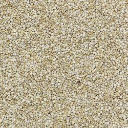 Quinoa voordelig online kopen | Notenshop